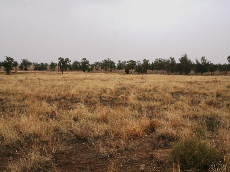 95 Richarsons Lane, Roma QLD 4455