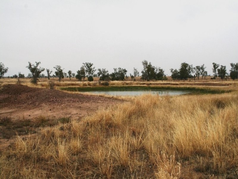 95 Richarsons Lane, Roma QLD 4455