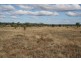 43 Nalpha Downs Road, Mitchell QLD 4465