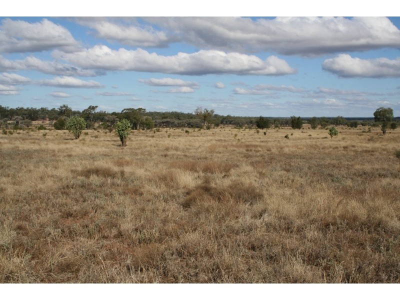 43 Nalpha Downs Road, Mitchell QLD 4465