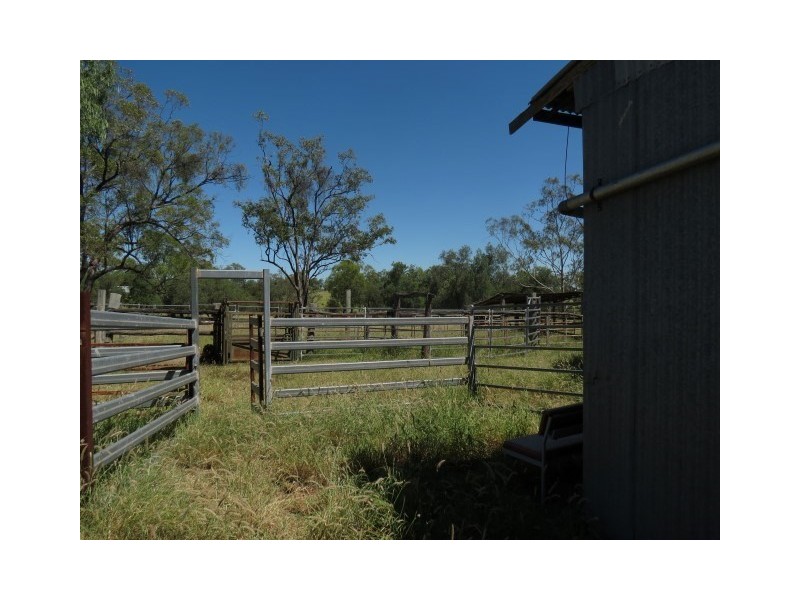 439 Freemans Road, Roma QLD 4455