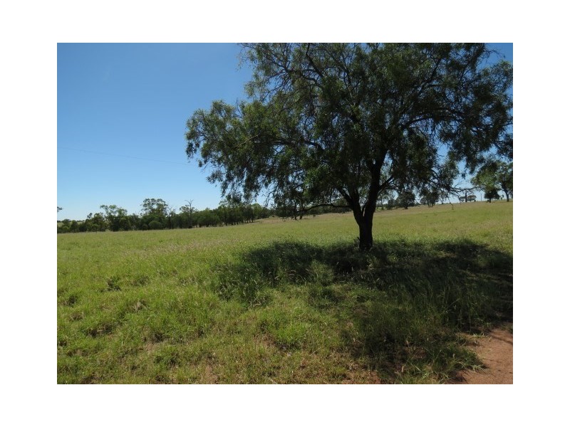 439 Freemans Road, Roma QLD 4455