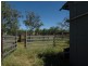 439 Freemans Road, Roma QLD 4455