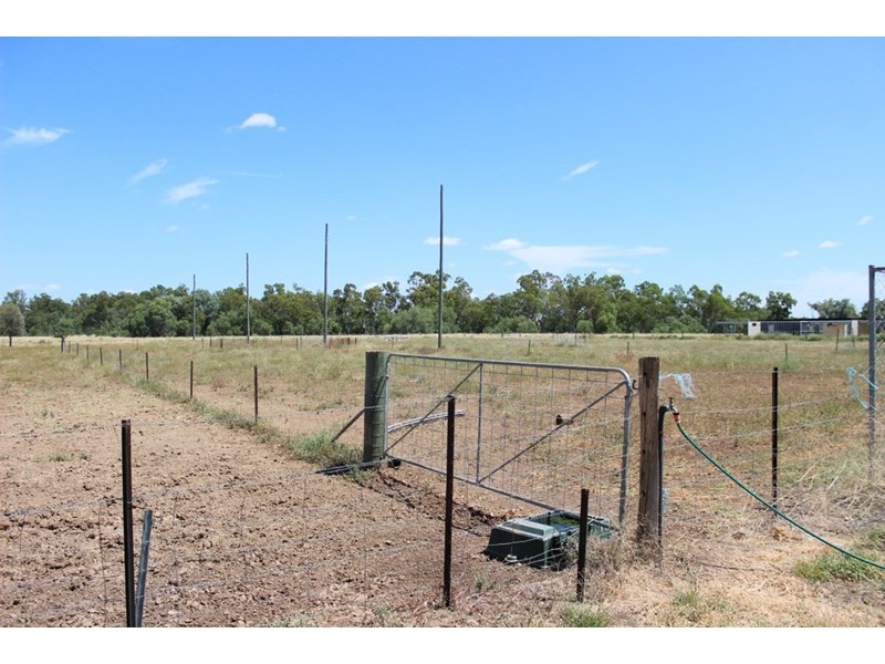 318 Roma Downs Road, Roma QLD 4455