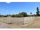 318 Roma Downs Road, Roma QLD 4455