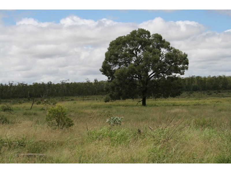 Mitchell QLD 4465