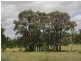 Mitchell QLD 4465