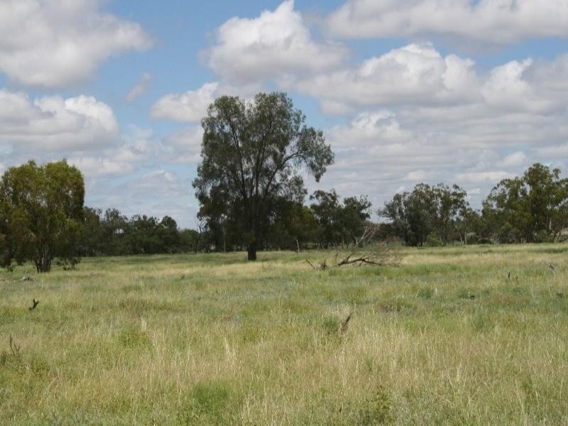 Mitchell QLD 4465
