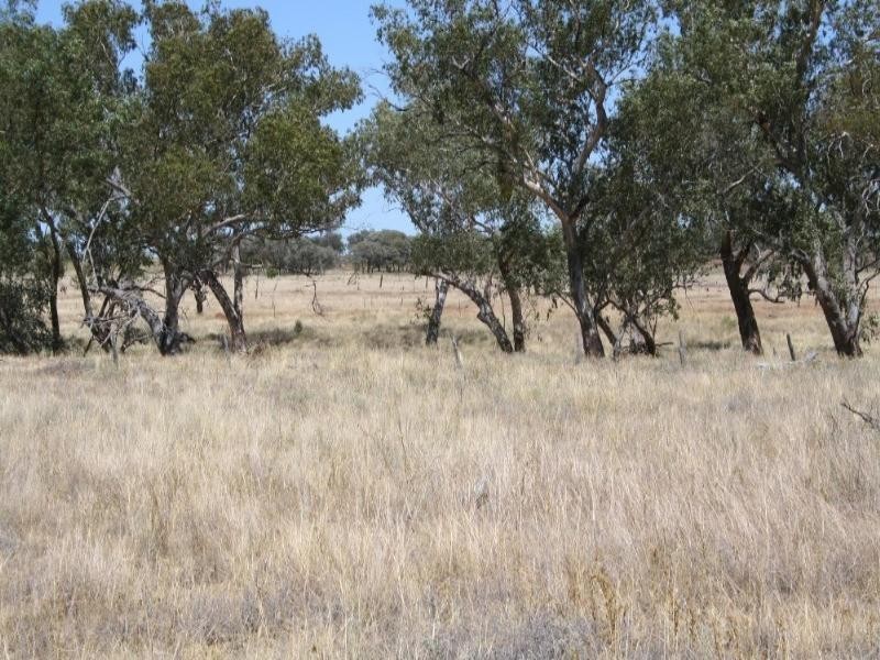 Mitchell QLD 4465