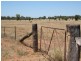 Mitchell QLD 4465