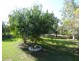 25 Lovell, Roma QLD 4455