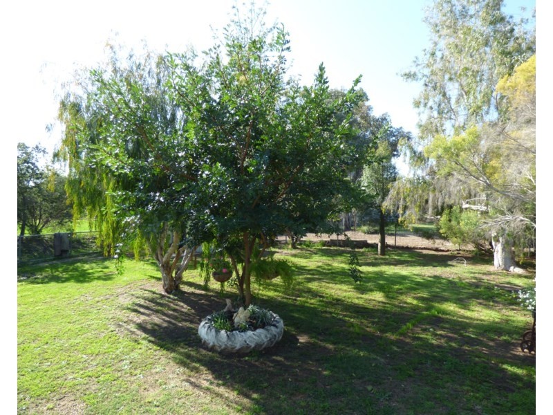 25 Lovell, Roma QLD 4455