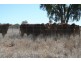 Mitchell QLD 4465