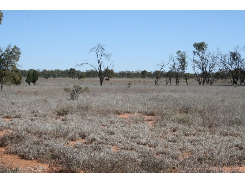 Mitchell QLD 4465