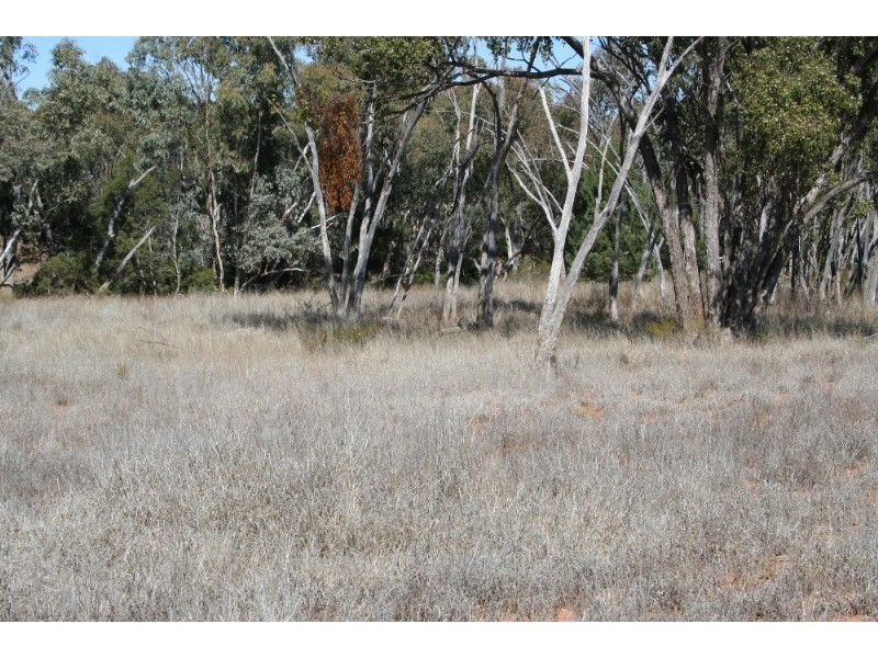 Mitchell QLD 4465