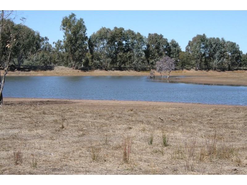 Mitchell QLD 4465