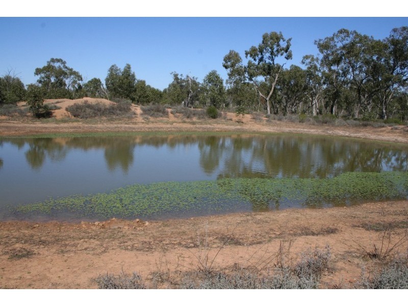 Mitchell QLD 4465