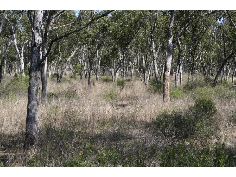 Mitchell QLD 4465