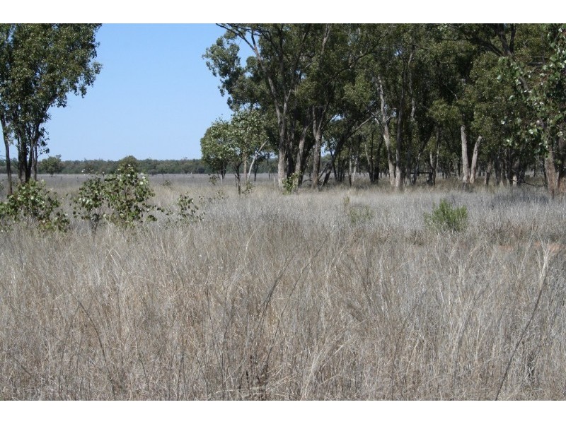 Mitchell QLD 4465