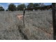 Mitchell QLD 4465