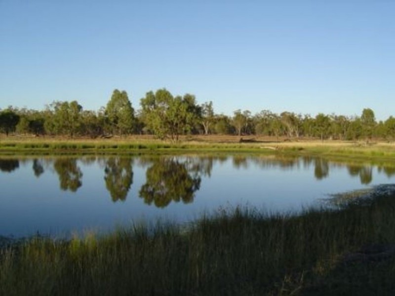 Mitchell QLD 4465
