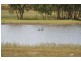 Mitchell QLD 4465