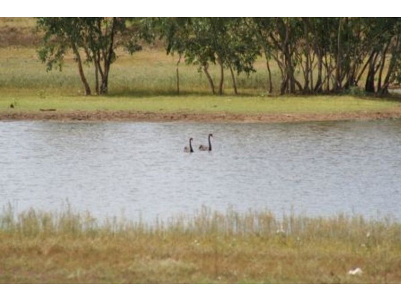 Mitchell QLD 4465