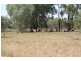 Mitchell QLD 4465
