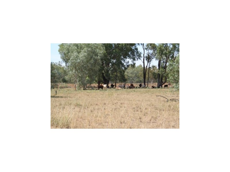 Mitchell QLD 4465