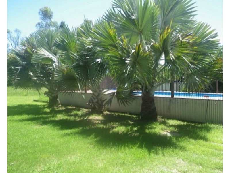 7 Felicity, Roma QLD 4455