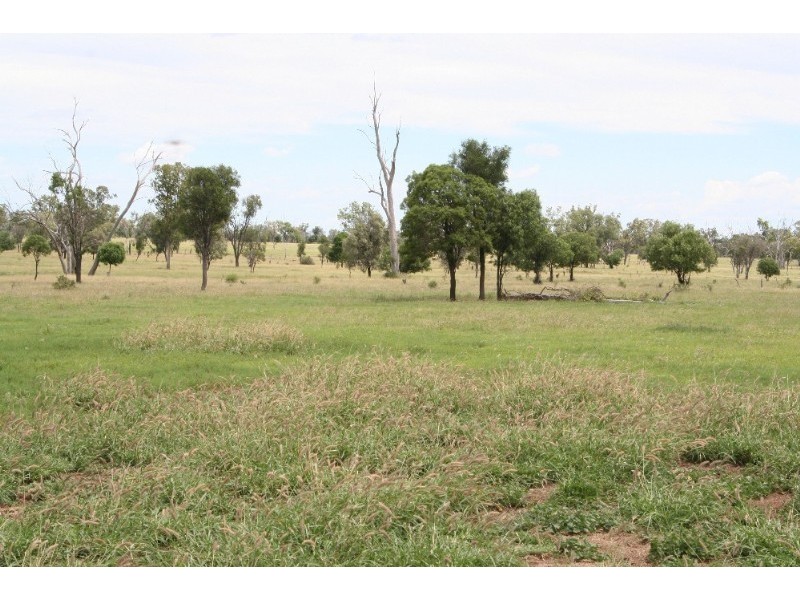 540 Daisybank Road, Roma QLD 4455