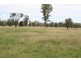 540 Daisybank Road, Roma QLD 4455