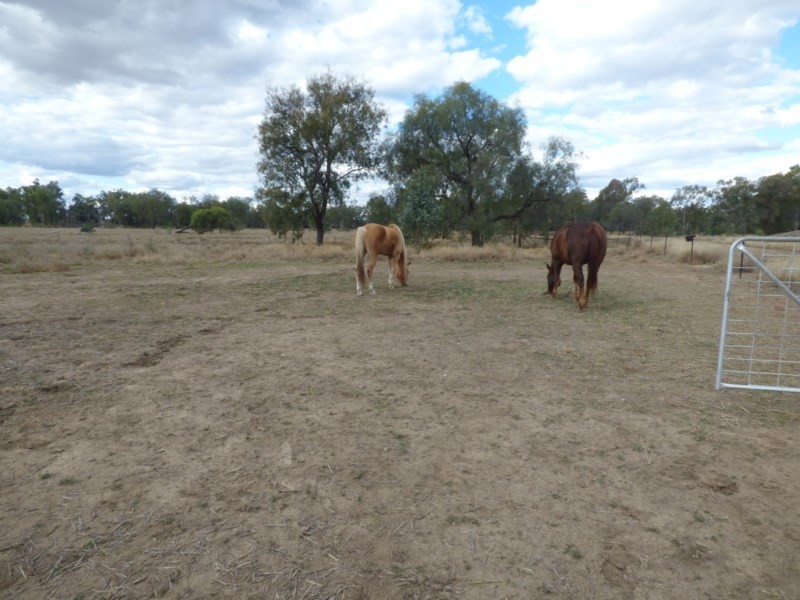 27 McPhie Street, Roma QLD 4455