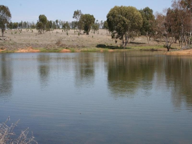 0 Eumina Street, Roma QLD 4455