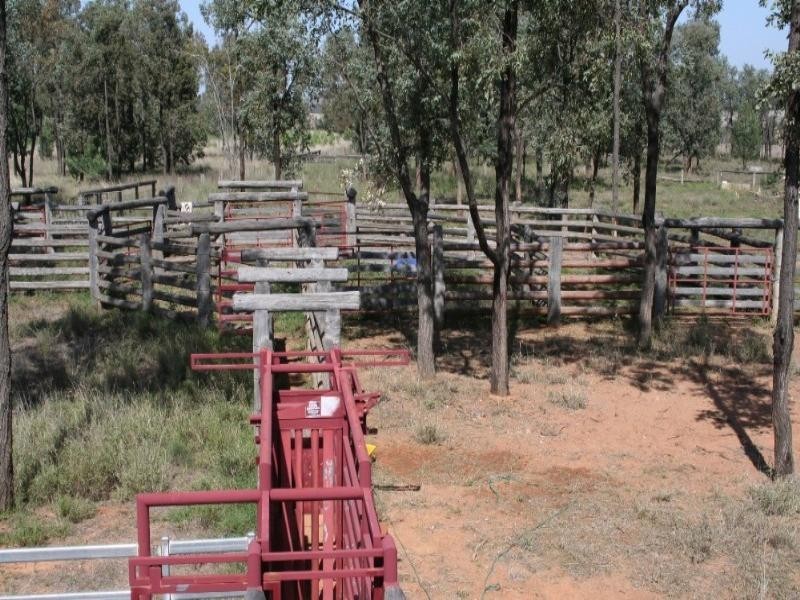 0 Eumina Street, Roma QLD 4455