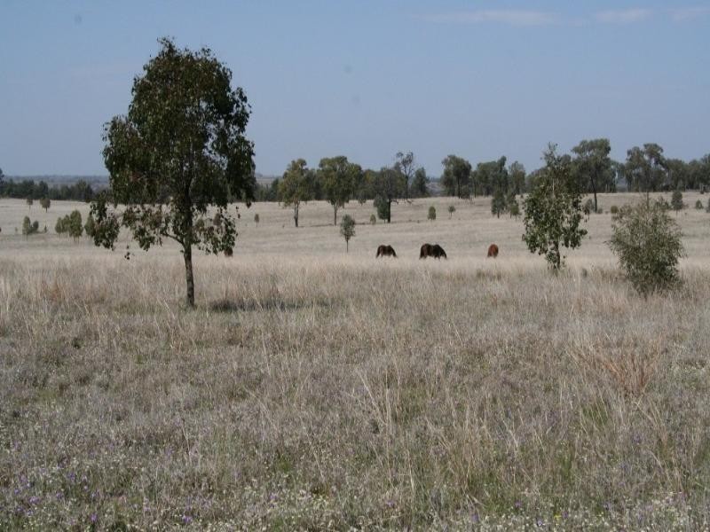 0 Eumina Street, Roma QLD 4455