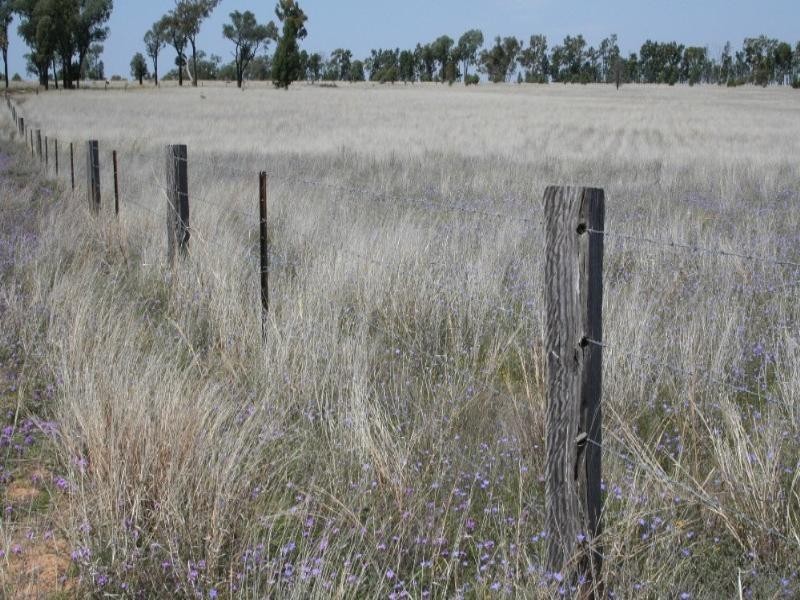 0 Eumina Street, Roma QLD 4455