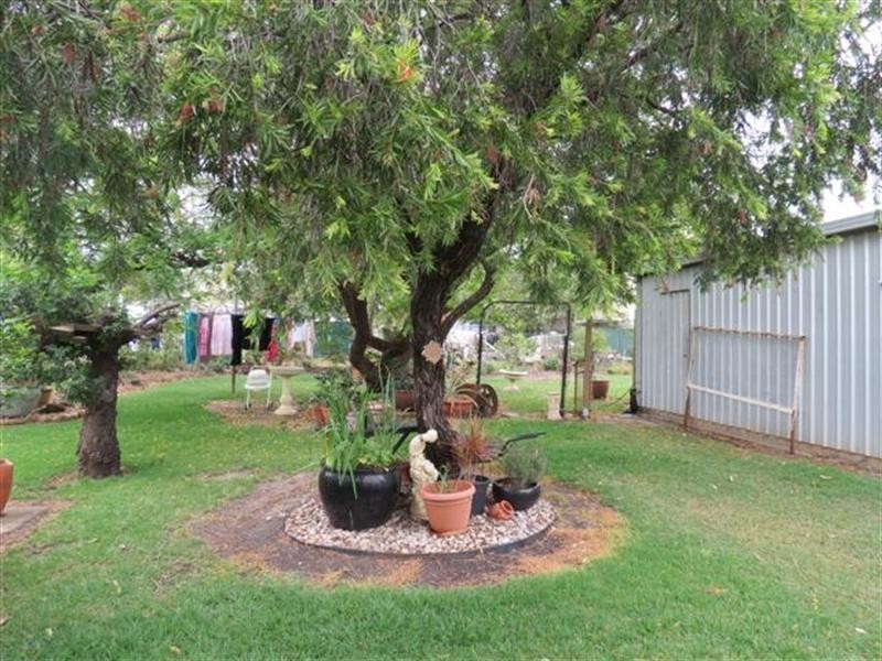25 Lewis Street, Roma QLD 4455
