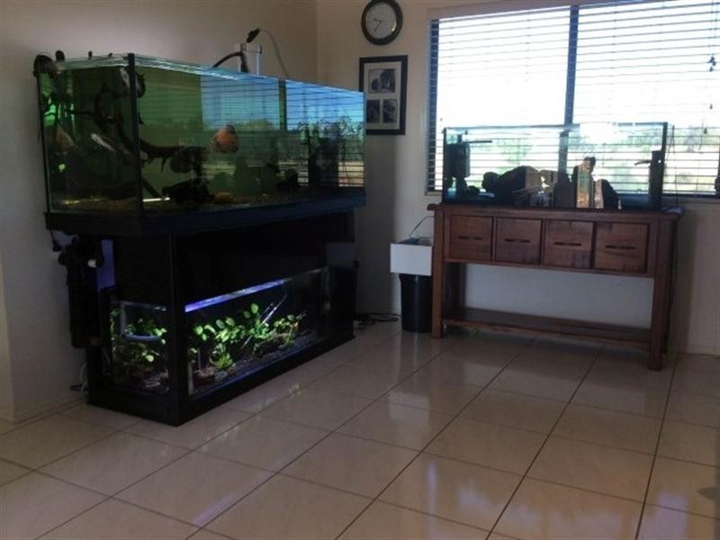 767 Six Mile Road, Roma QLD 4455