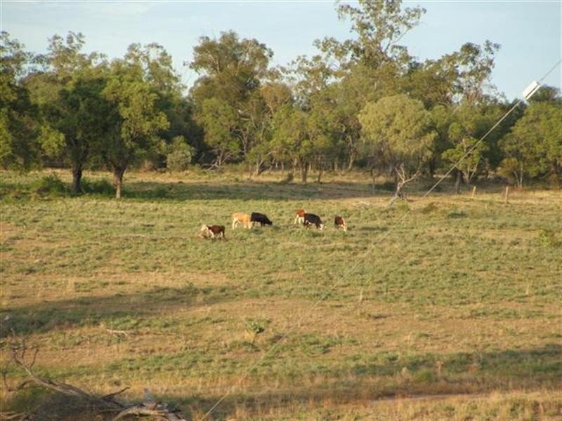 767 Six Mile Road, Roma QLD 4455