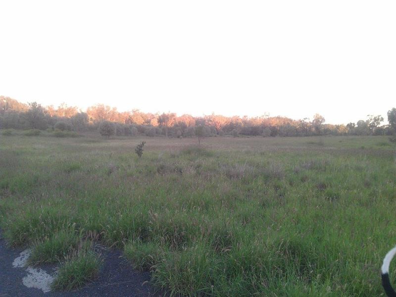 767 Six Mile Road, Roma QLD 4455