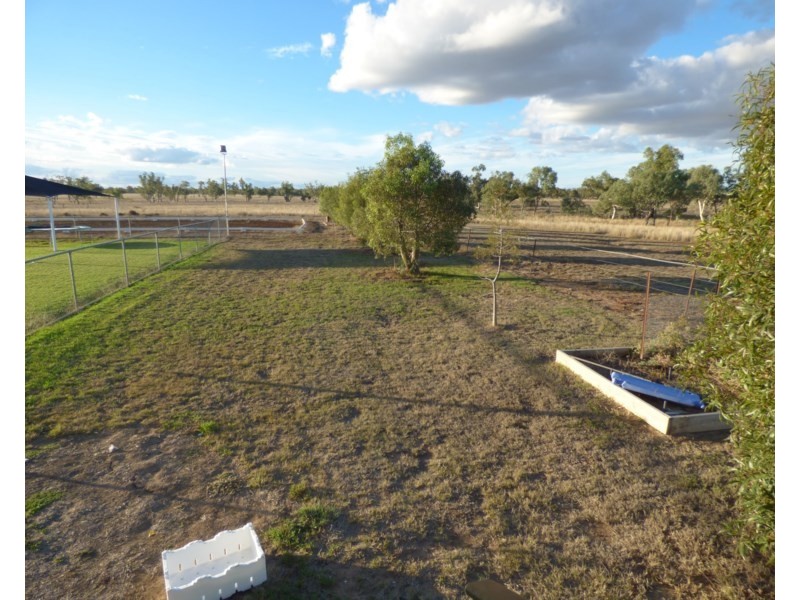 31 Henry Street, Hodgson QLD 4455