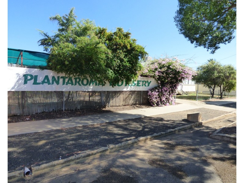 87 Wyndham Street, Roma QLD 4455