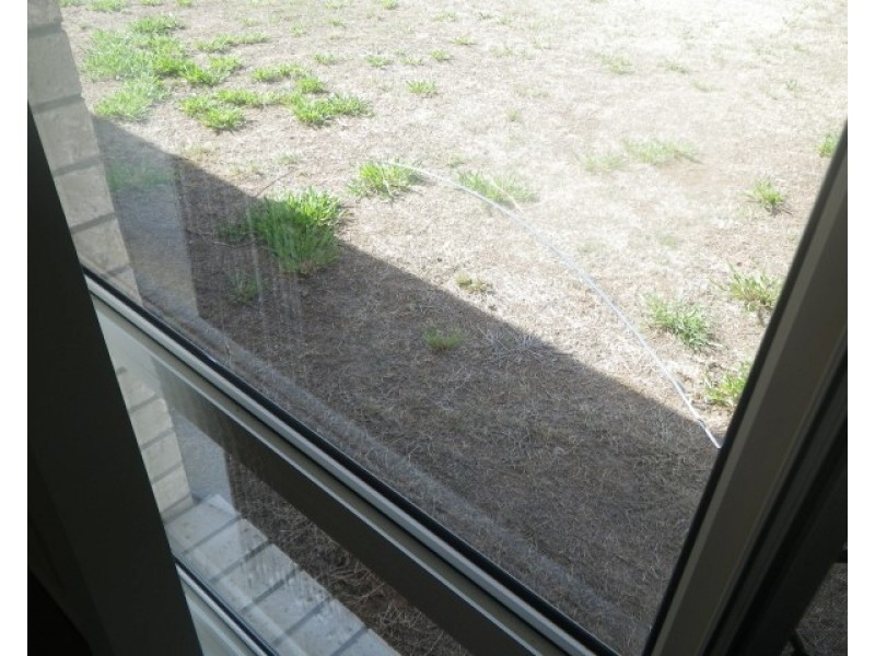 23 Ivy Street, Roma QLD 4455