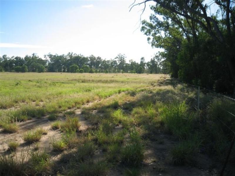 80 Edwardes Street, Roma QLD 4455