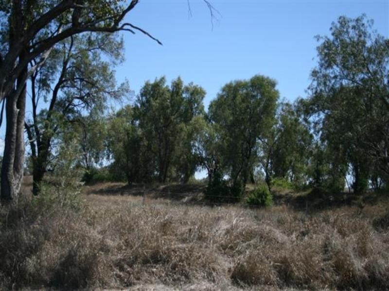 L5 Hartleys Lane, Roma QLD 4455