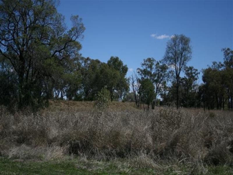 L5 Hartleys Lane, Roma QLD 4455