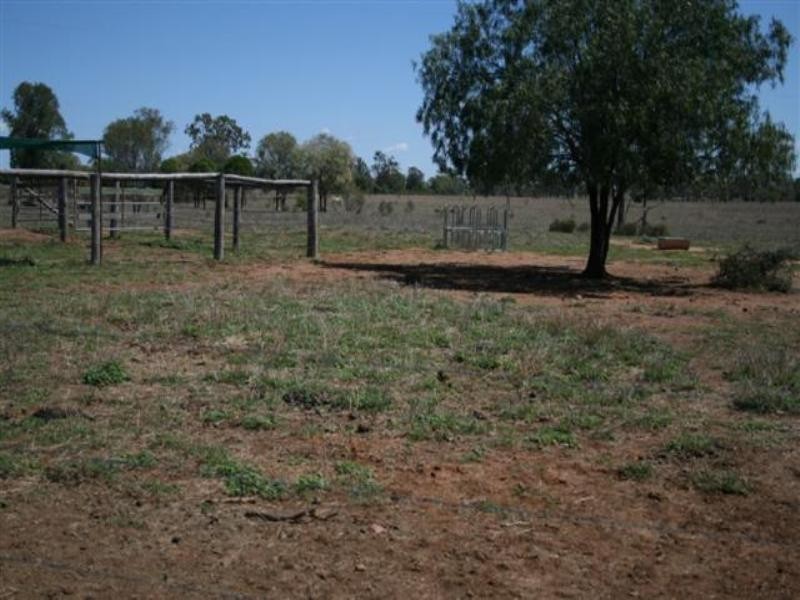 L4 Hartleys Lane, Roma QLD 4455