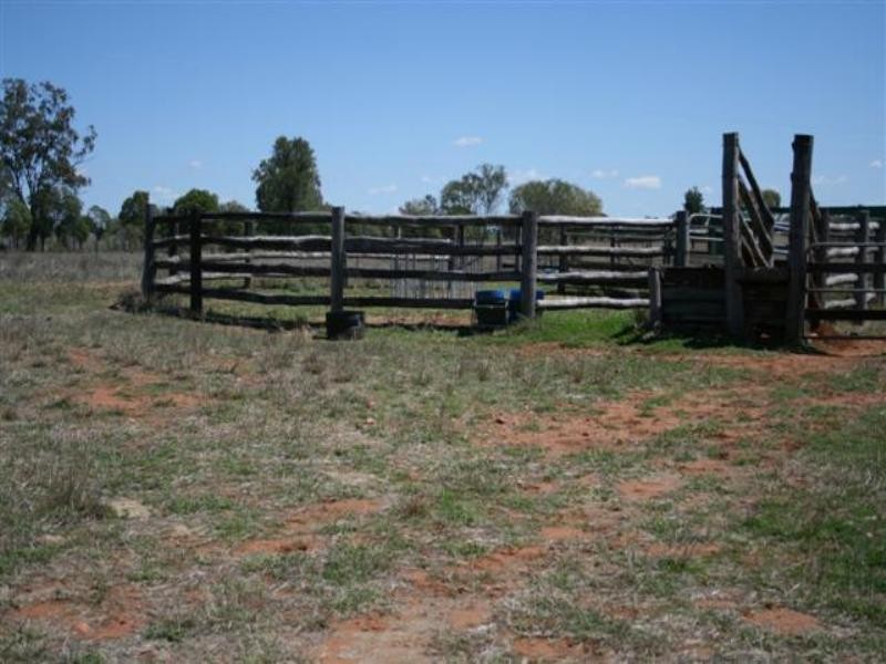 L4 Hartleys Lane, Roma QLD 4455