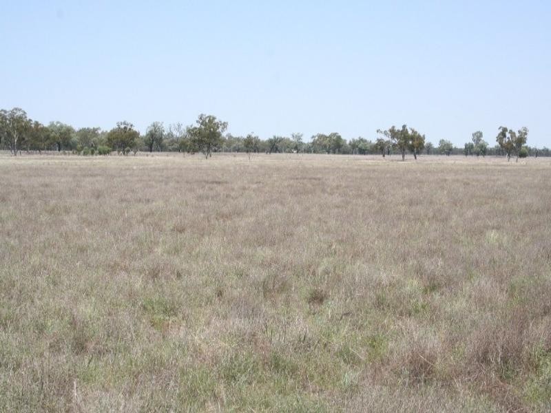 0 Coleraine Road, Mitchell QLD 4465